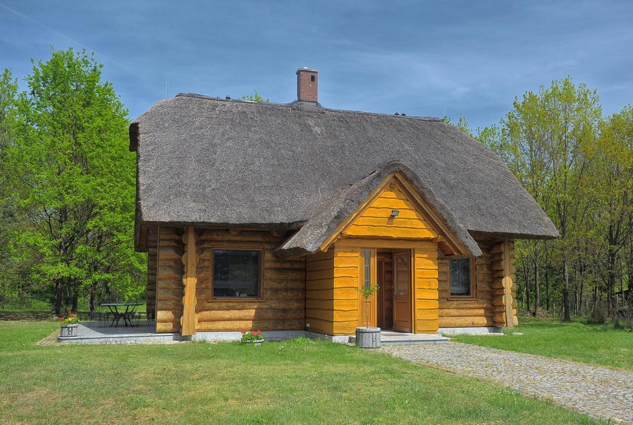 Dom Pod Sosnami Villa Gryżyna Buitenkant foto