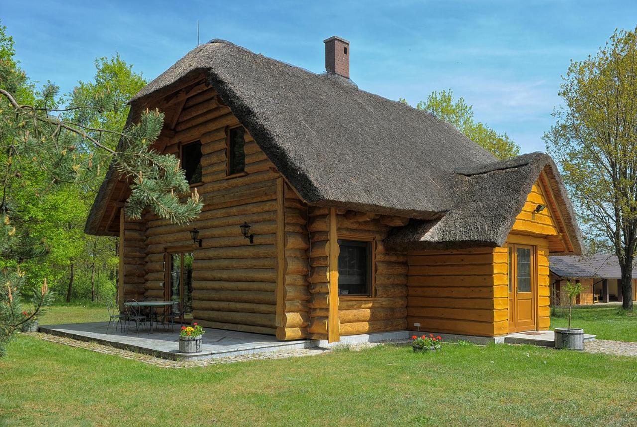 Dom Pod Sosnami Villa Gryżyna Buitenkant foto