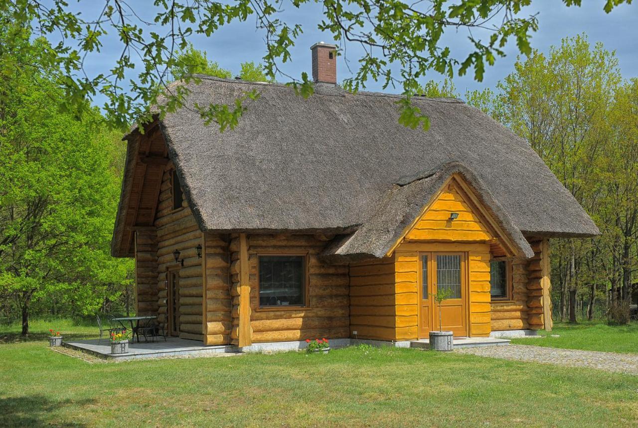 Dom Pod Sosnami Villa Gryżyna Buitenkant foto