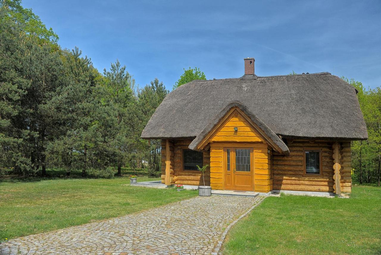 Dom Pod Sosnami Villa Gryżyna Buitenkant foto